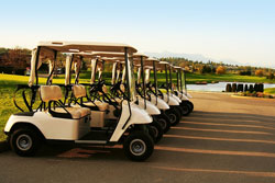 golf cart services